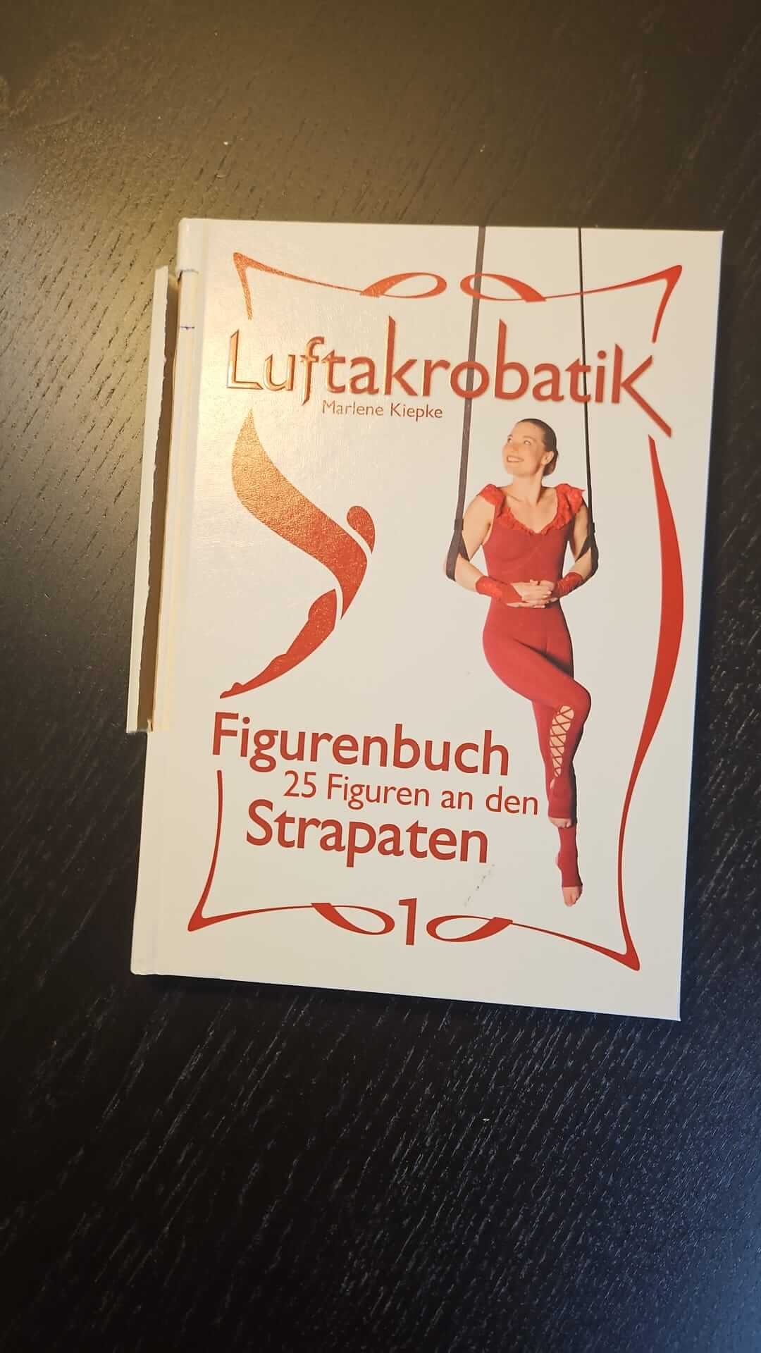 Figurenbuch Strapaten 1 beschädigt (Fundgrube)